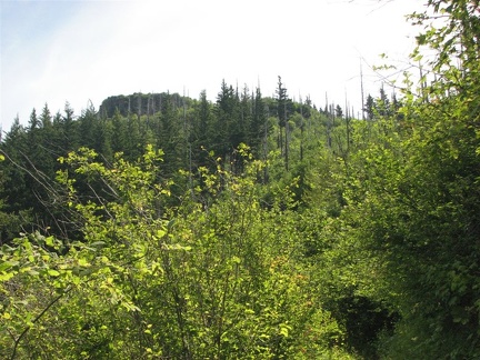 Angels Rest rising above the trees