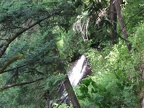 The tall waterfall on Coopey Creek is mainly obscured by the forest