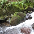 Coopey Creek flows along the trail for a short distance. This was taken just above the footbridge.