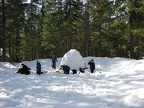 We made an igloo and camped in the parking lot for the tale of two forests trail