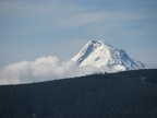 Mt. Hood rises above the Benson Plateau.