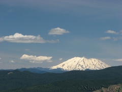 Mt. St. Helens graces a beautiful sky from the Augspurger Mountain Trail.