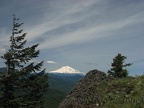 An outcrop of basalt provides a contrast to the snowy Mt. Adams.