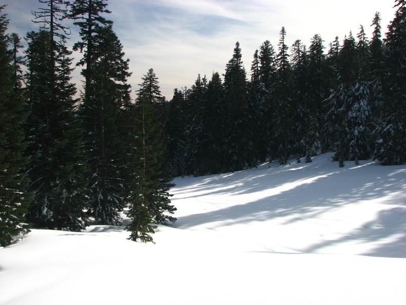 The snow-covered forest road makes for an easy trail. The grade is gentle and steady.