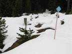 Sign marking the Barlow Pass Trail