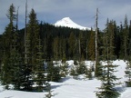 Mt. Hood from one of the meadows along the snowshoe trail.