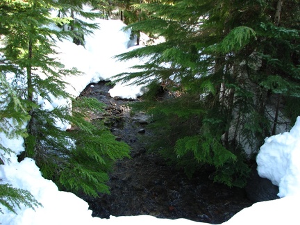 The West Fork of the Salmon River run crystal clear under an old bridge along an old Forest Service road.