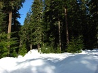 The trail leaves the thick forest where it crosses back over the West Fork of the Salmon River.