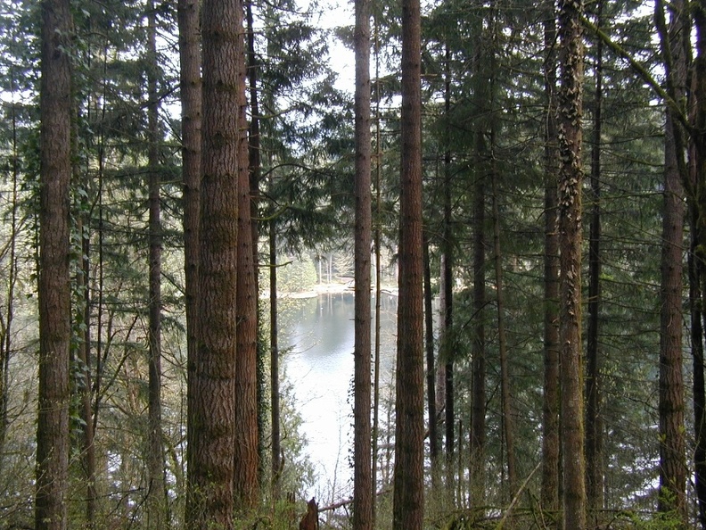 Battle Ground Lake from Mitchell Viewpoint