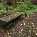 A bench to take a rest along the Big Creek Falls.