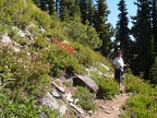 Switchbacks on trail 20 up to Hellroaring Canyon Overlook.