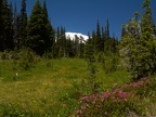 One of the many meadows and streams on this hike.