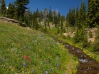 Mt. Adams can barely be seen through the trees at this alpine meadow and stream.