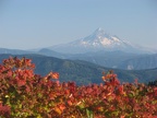 View of Mt. Hood from Bluff Mountain Trail.