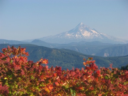 View of Mt. Hood from Bluff Mountain Trail.