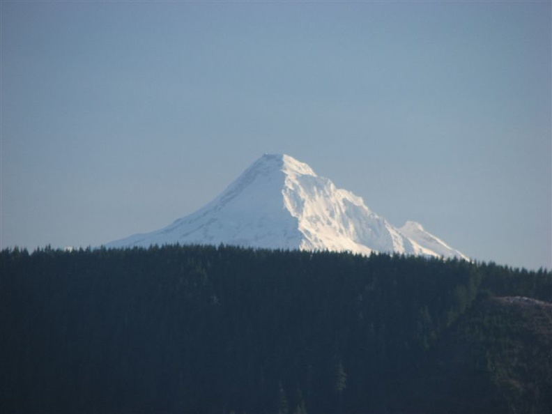 Mt. Hood pokes above the nearby mountains from near the top of Bunker Hill.
