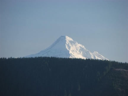 Mt. Hood pokes above the nearby mountains from near the top of Bunker Hill.