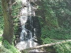 The trail passes above a small waterfall on the Cape Falcon Trail.
