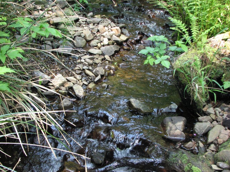 Several small streams are along the trail. Some have bridges and some don't. They are all step-across streams in all but winter storms.