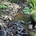 Several small streams are along the trail. Some have bridges and some don't. They are all step-across streams in all but winter storms.