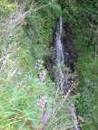 A small waterfall along the Cape Horn Trail in the Columbia Gorge