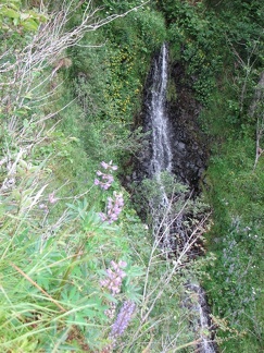 A small waterfall along the Cape Horn Trail in the Columbia Gorge