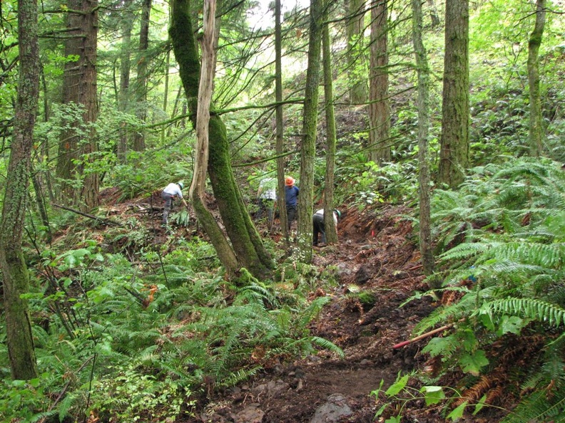 View of the section of trail before we began work.