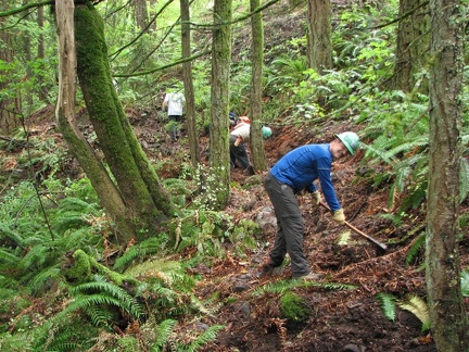 Steve scraping the organic matter off the trail route in preparation for building the tread.