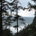 This is the last view of the ocean as the trail heads towards the southern end of the Cape Lookout North Trail.