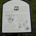 Interpretive sign along the trail