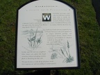 Interpretive sign along the trail