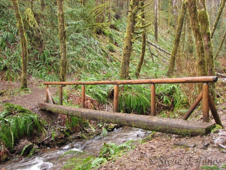 A picture of the old log bridge over the creek just before the trail junction with the Storey Burn Trail. This is now a bridge wide enough for mountain bikes.