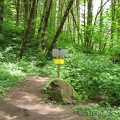 Gales Creek Trail near the trailhead. The yellow sign shows the trail open to hikers as of May 25, 2012 and to horses July 1, 2012.
