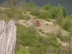 Looking down towards the lake from the ridge southeast of Coldwater Lake, you see this blasted fire truck soon after passing the yarder at the top of the ridge.