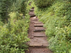 Typical trail heading up to Van Trump Park.