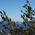 Looking from the Watchman fire lookout.