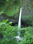 Ponytail Falls in the Coumbia River Gorge. The return trail loops behind these falls.