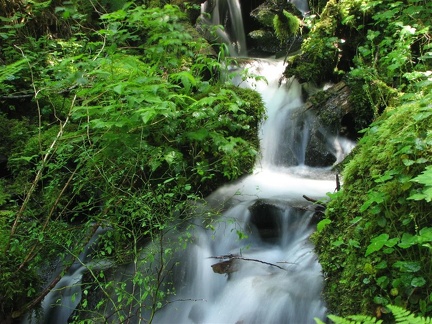 Horsetail Creek on Horsetail Creek Trail.