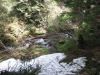 Snow along the trail at one of the branches of Horsetail Creek.