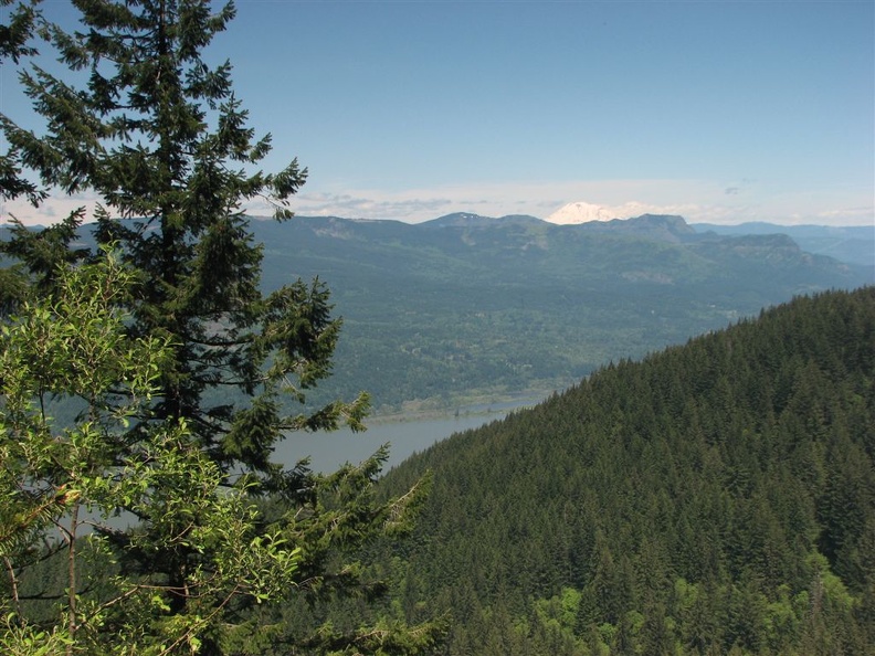 Loooking east, Mt. Adams peeks out on the horizon. This is taken from the viewpoint about 1/2 mile to the east of Devil's Rest.