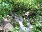 Wahkeena Springs bursting out of the ground.