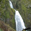 Wahkeena Falls cascades down the basalt cliffs in the Columbia River Gorge.