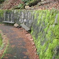The lower section of the Wahkeena Falls Trail is wide and paved to handle the heavy foot traffic.