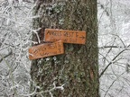 Trail junctions signs west of Devil's Rest for Devil's Rest Trail and Foxglove Way.