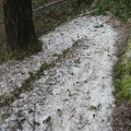 Nature's ice machine coated the high tree branches and the East wind shook the ice from the trees. The ice slid down the hill until it collected on the trail.