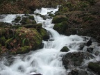 Wahkeena Creek rushes down a canyon along the Wahkeena Falls Trail.