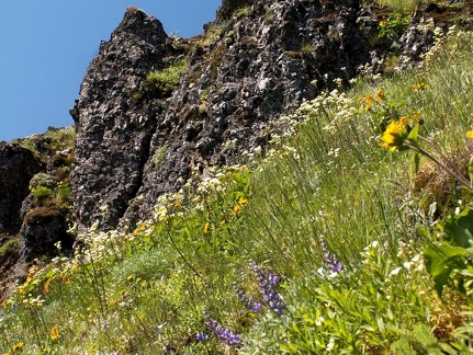 Rock outcropping on Dog Mountain Trail.