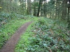 This section of the Pacific Crest Trail gently curves and climbs towards Dry Creek Falls.