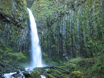 Dry Creek Falls plunges out of a basalt cleft to plunge into a small pool at the bottom of the falls.