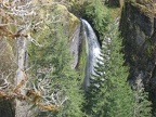 Eagle-Benson Trail crosses Wy'east Creek above Wy'east Falls, a 140 feet plunge waterfall.